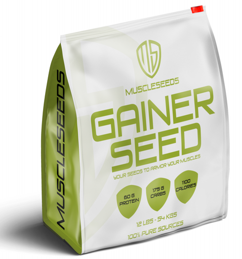 [151217] Muscleseed gainer seed-22Serv.-5.4kg-Banana Cream